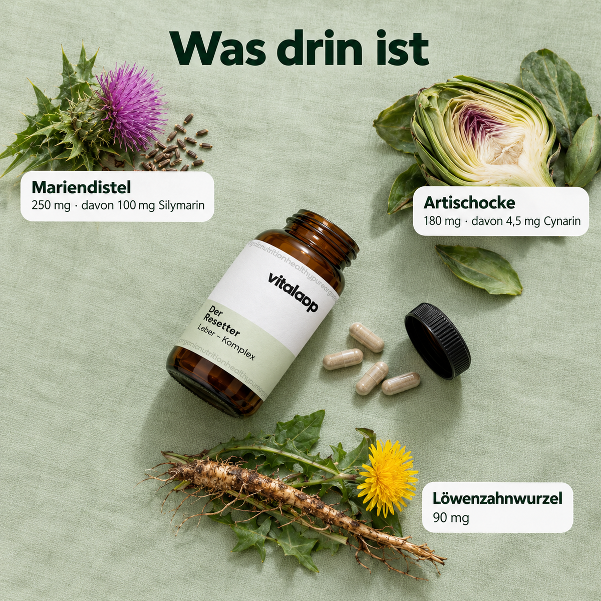 Vitaloop® - Der Resetter - Leber Komplex