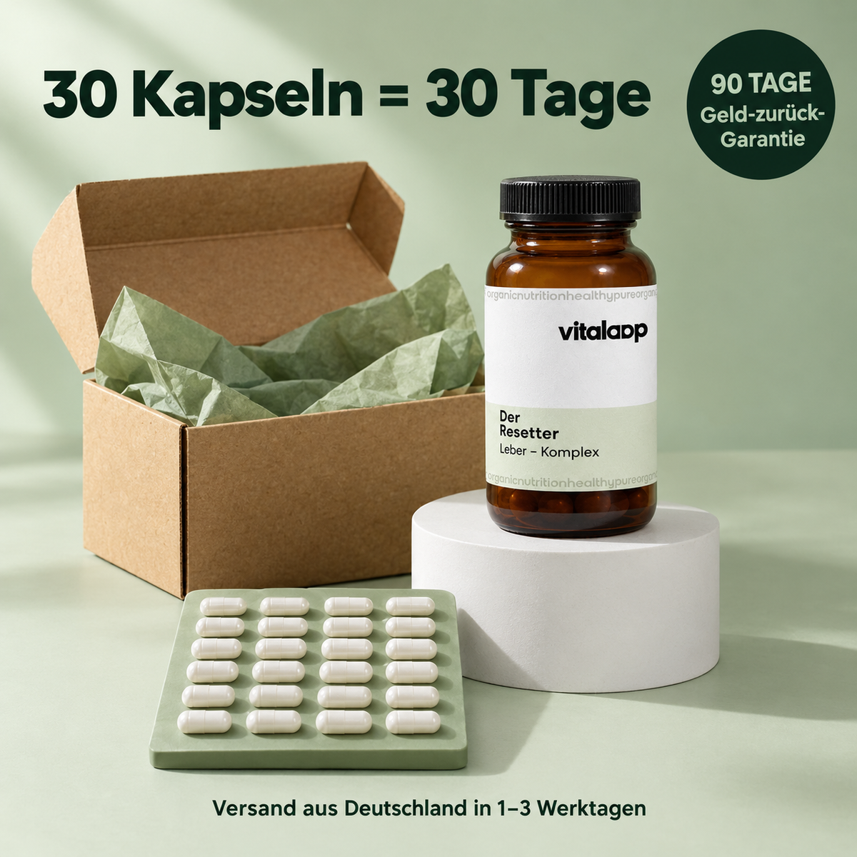 Vitaloop® - Der Resetter - Leber Komplex